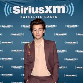 Harry Styles îmbrăcat cu un costum maro